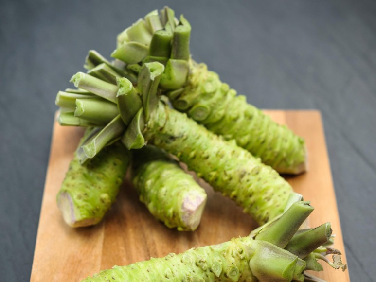 “Neque porro quisquam est qui dolorem ipsum quia dolor sit amet, consectetur, adipisci velit…”