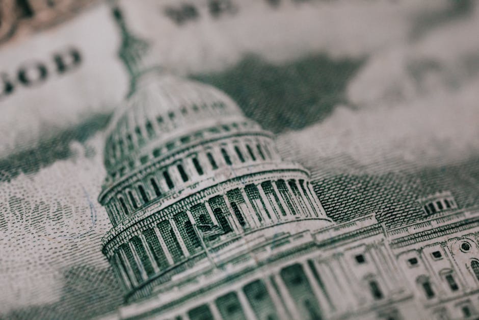 Como a estabilidade financeira impacta a democracia? Guia completo